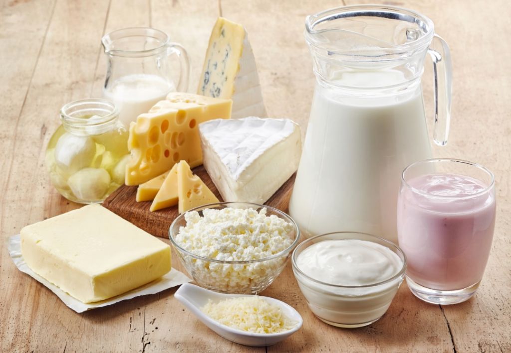 dairy calcium cheese yogurt milk