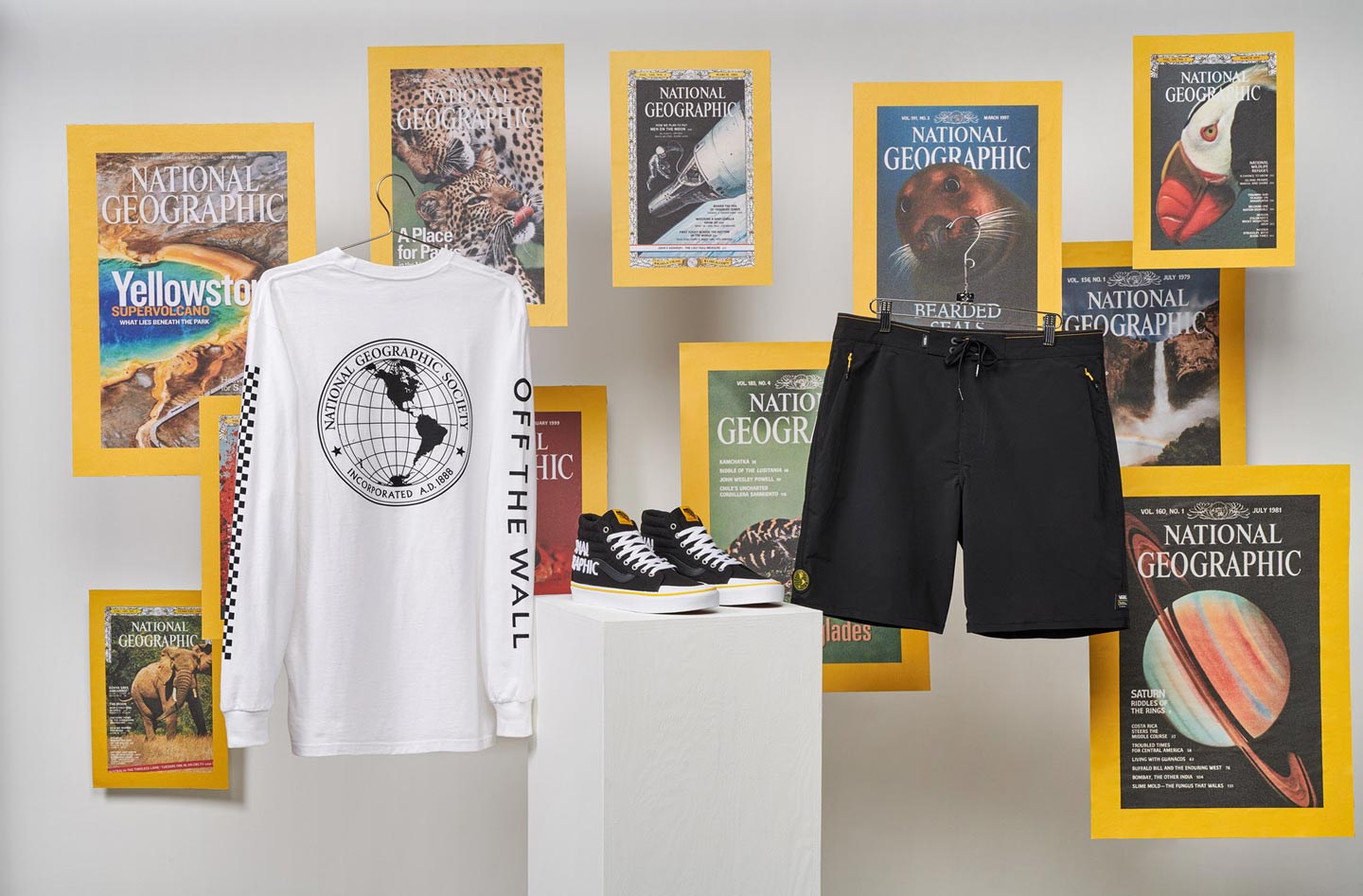 Buy > vans national geographic shorts > in stock